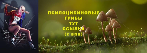 МДПВ Дмитровск