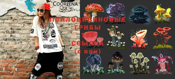 каннабис Дмитров